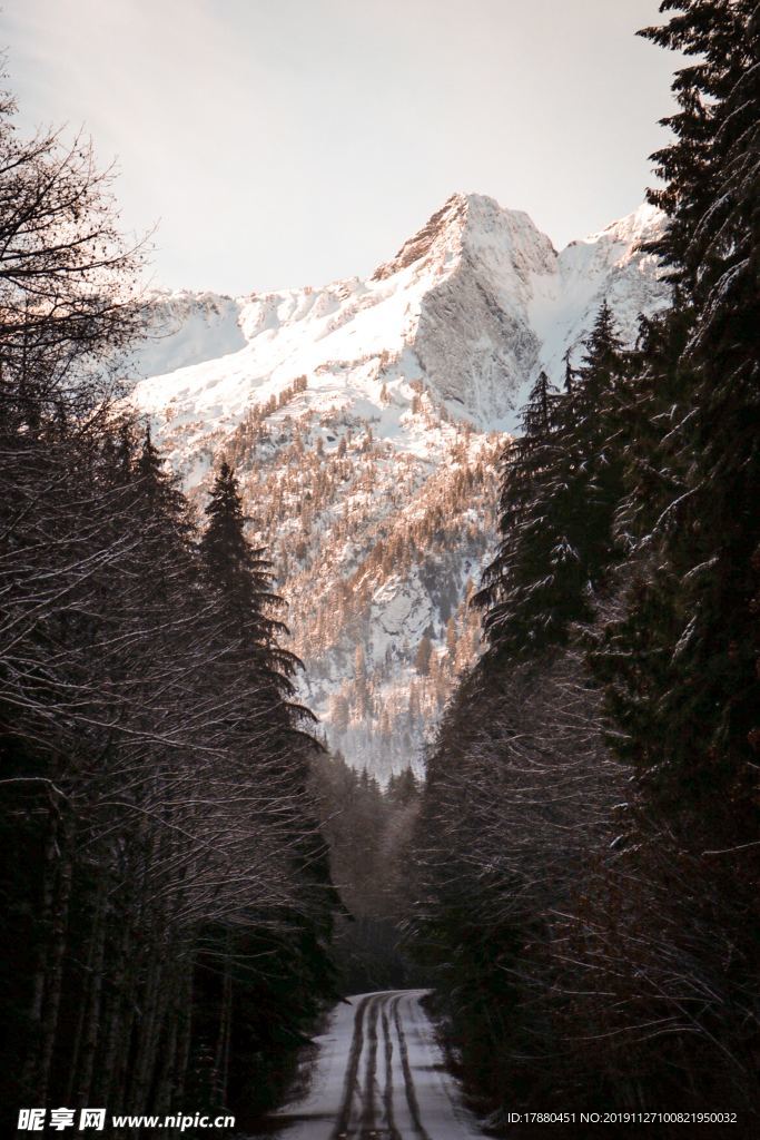 山脈與山林