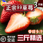 草莓宣传图