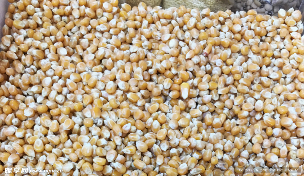 玉米 生鲜干货  豆子