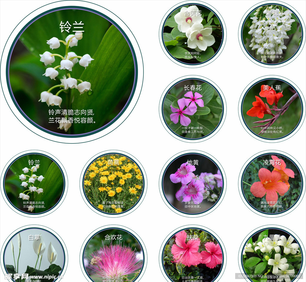觀賞花卉搭配相關(guān)的古詩詞
