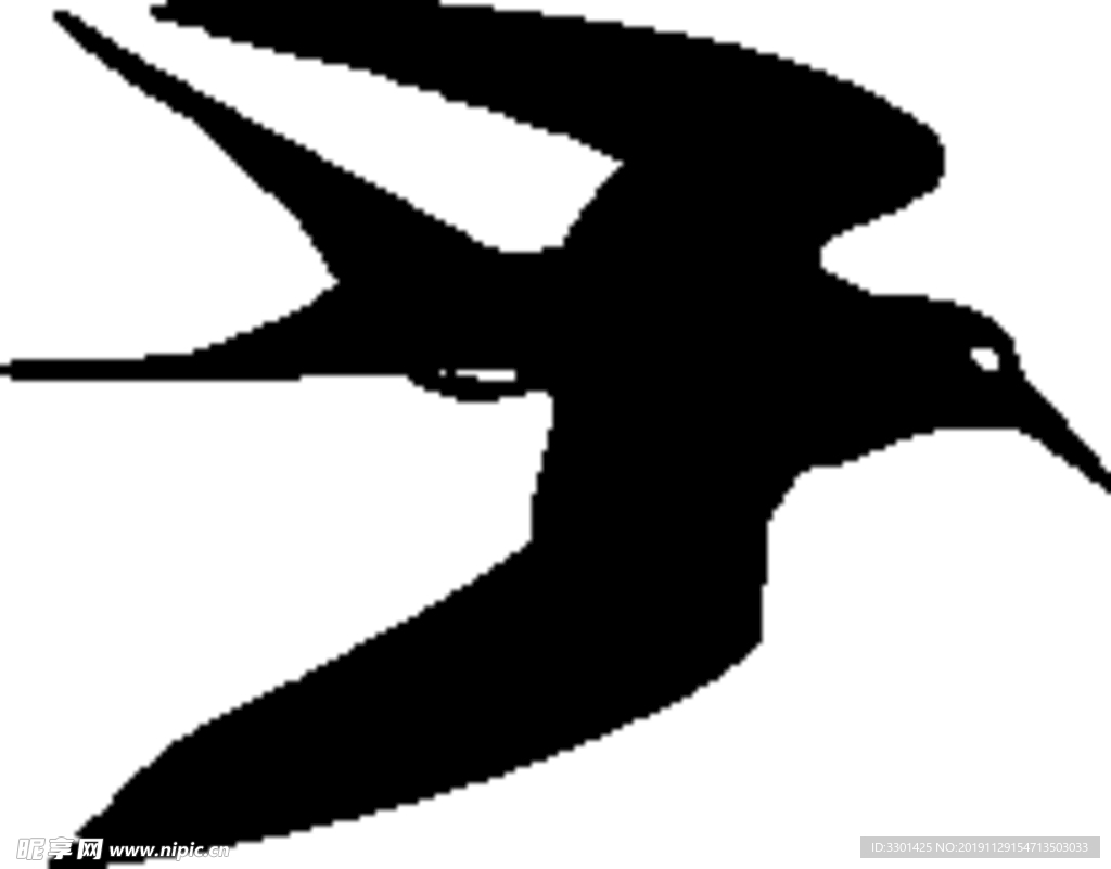 野生动物系 燕子鸟