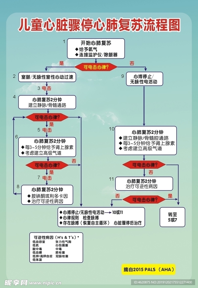 儿科心肺复苏流程图展板