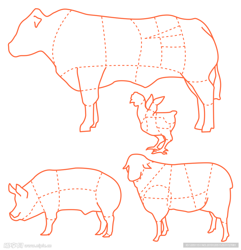猪牛羊鸡食用肉切割分布图