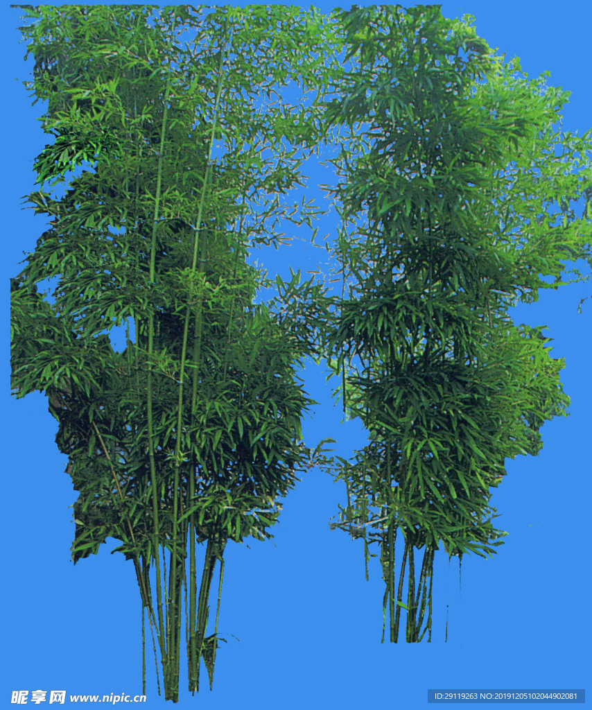 竹子配景圖