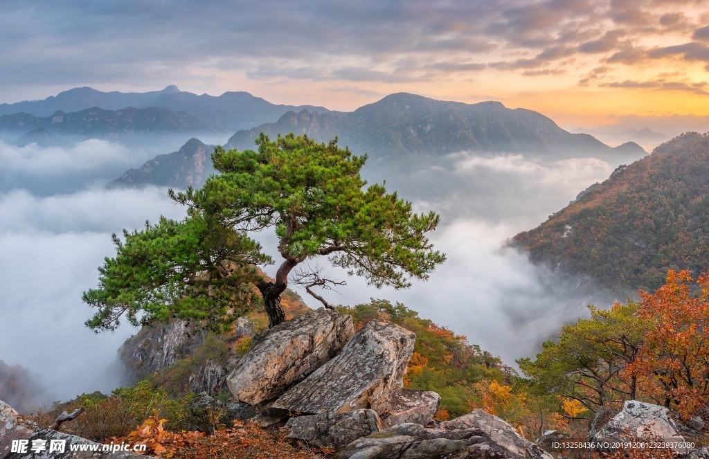 群山 天空 云彩 大樹 風景