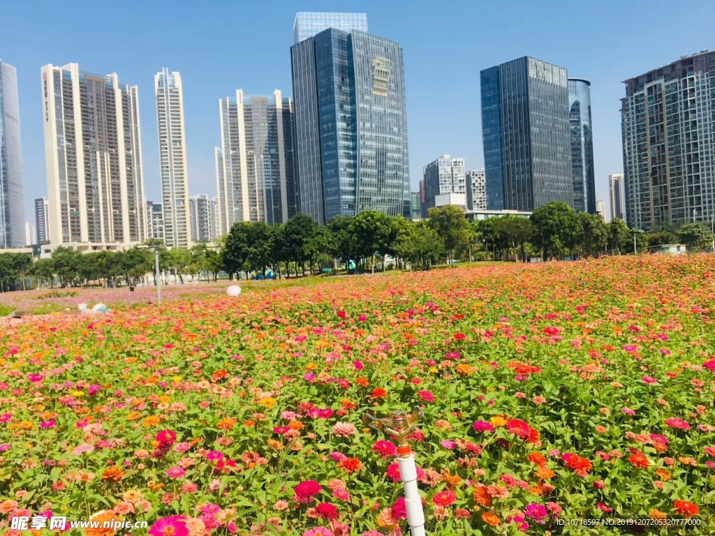 建筑景色