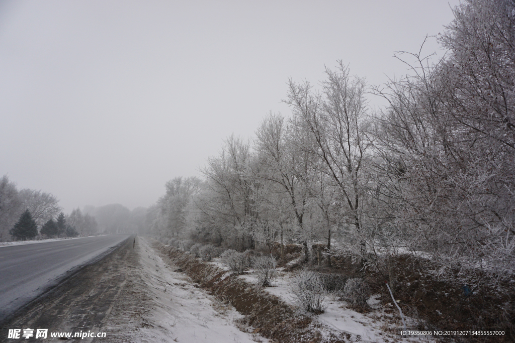 冬天公路边的雾淞景色