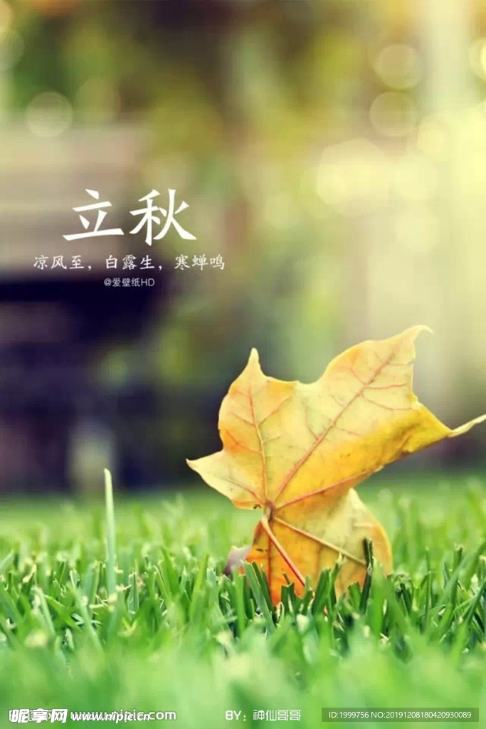 立秋