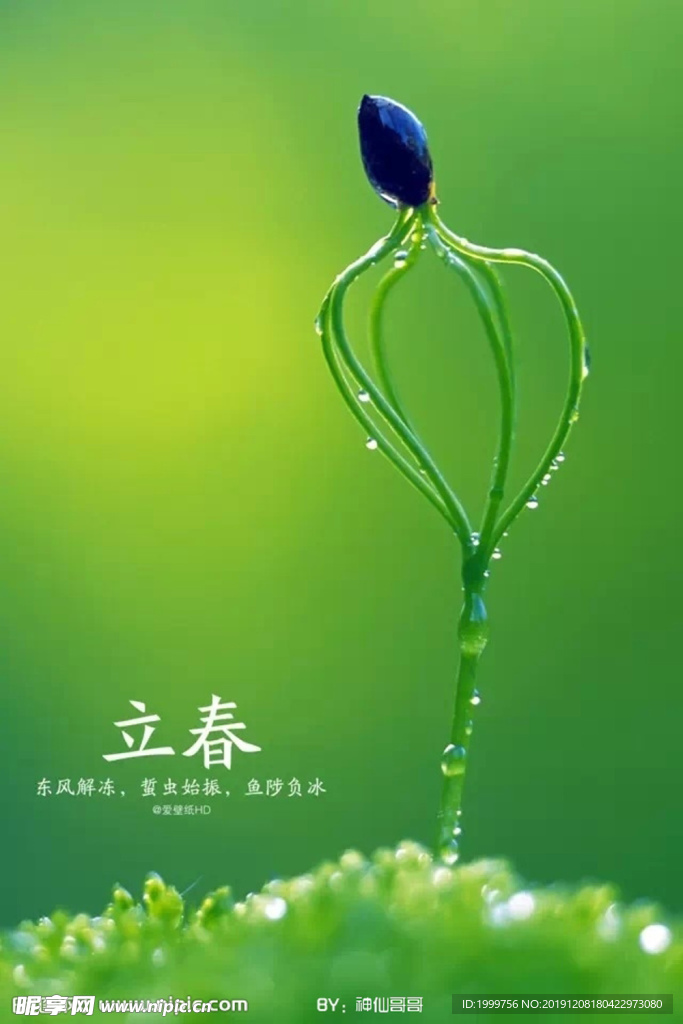 立春