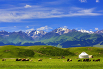 蒙古包  草原风景