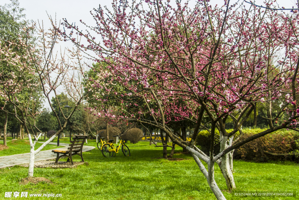 公園園林
