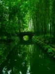 竹子 大树 小拱桥 绿色 清新