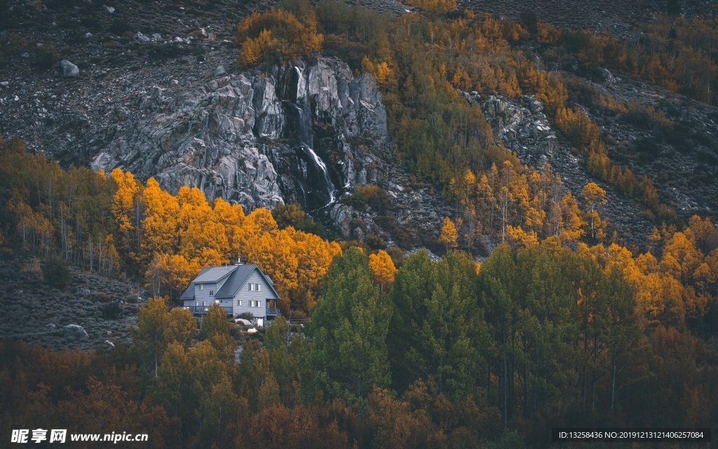 高山 森林 樹木 別墅 風景