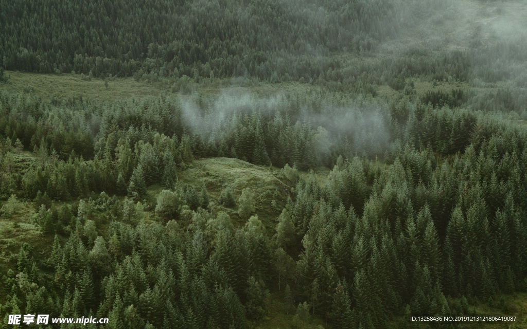 森林 樹木 樹林 山谷 風景