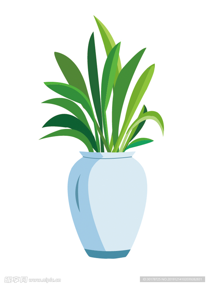 植物插画