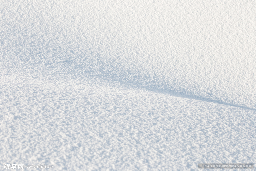 雪地