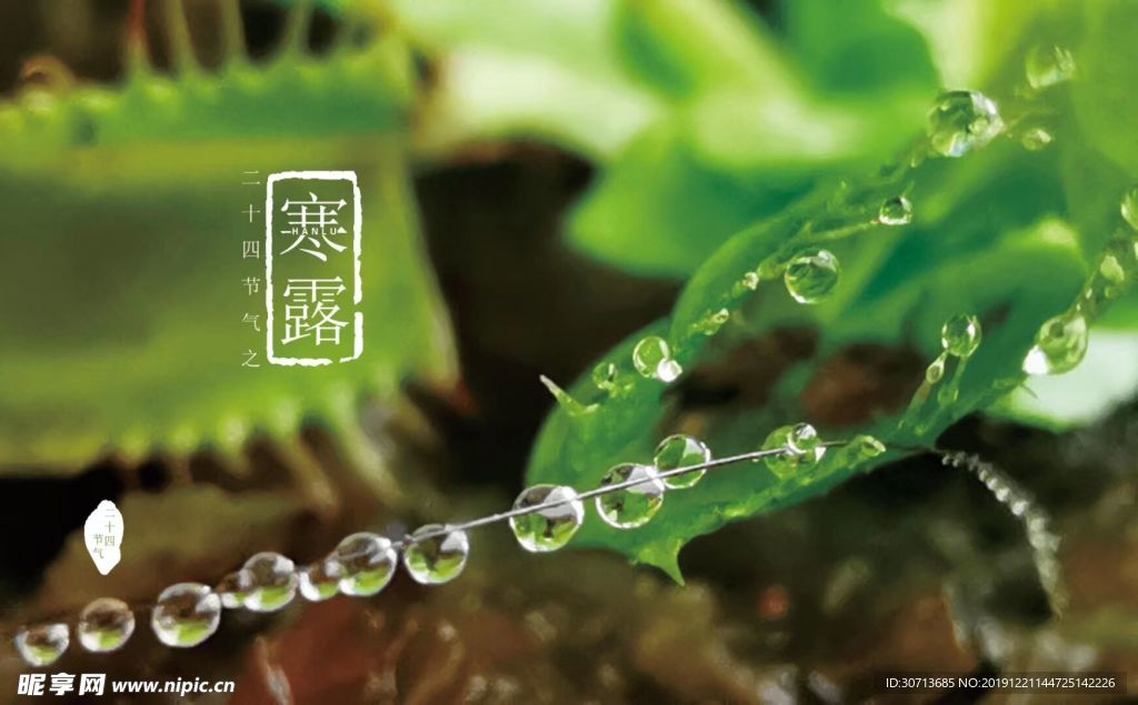 寒露