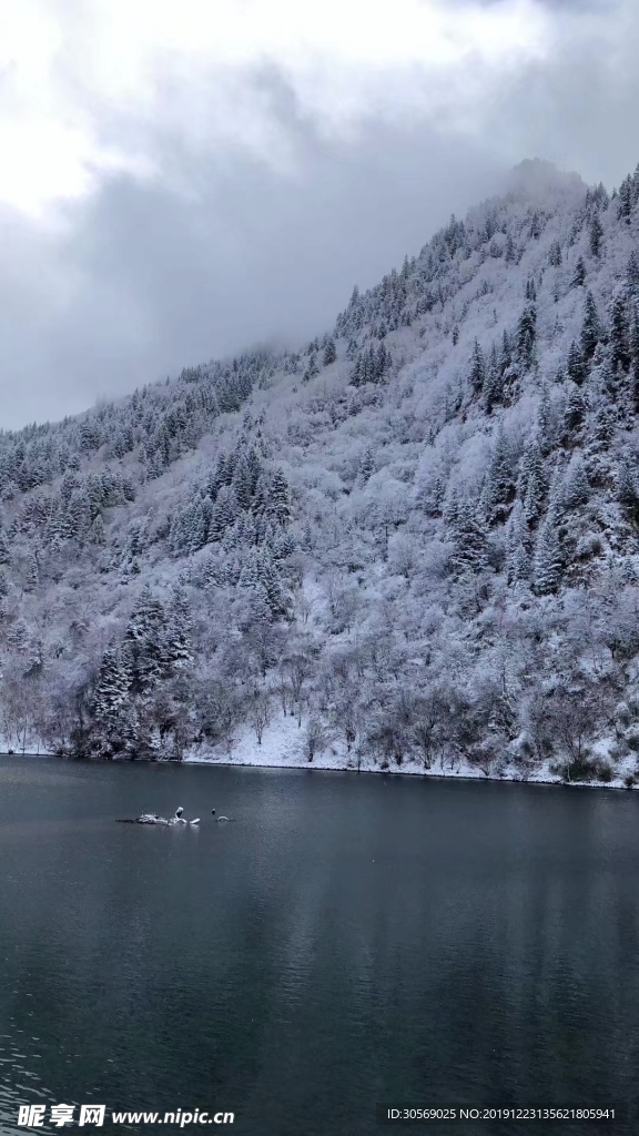 雪景