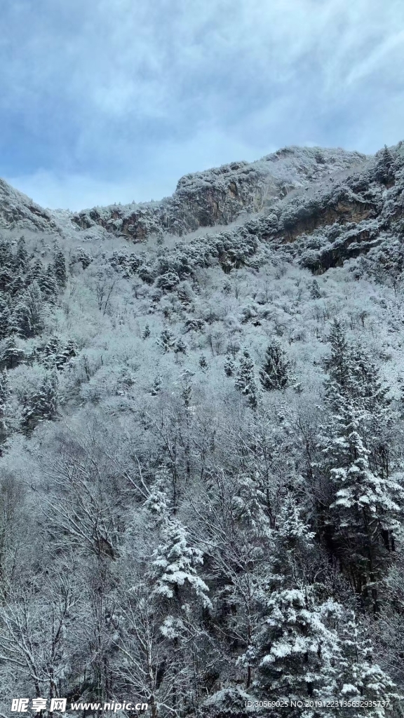 雪景