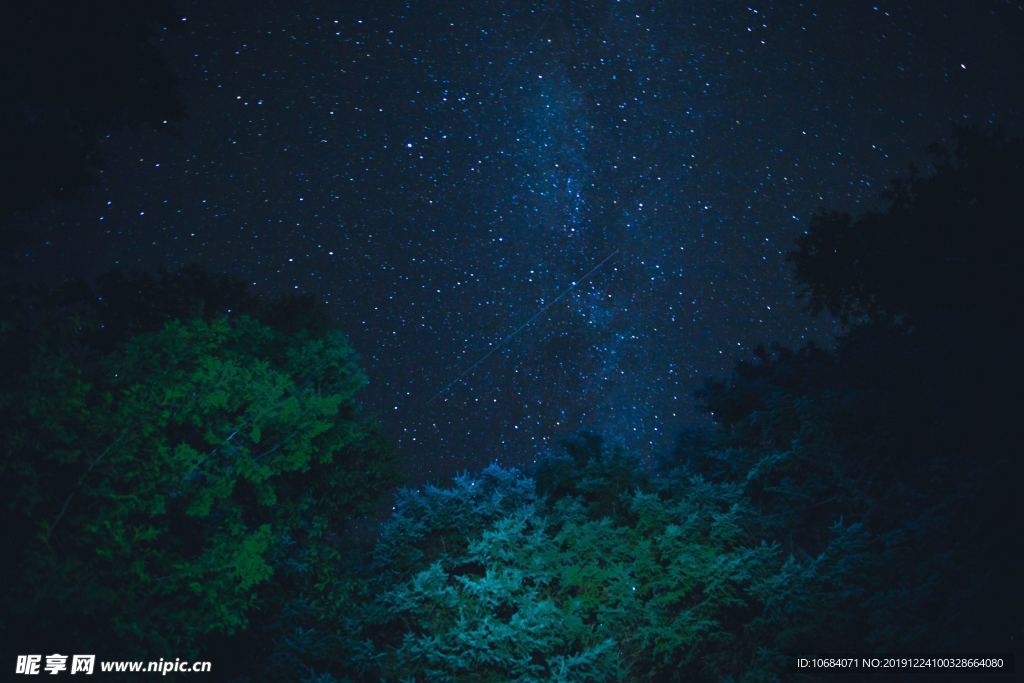 黑夜星辰樹林背景