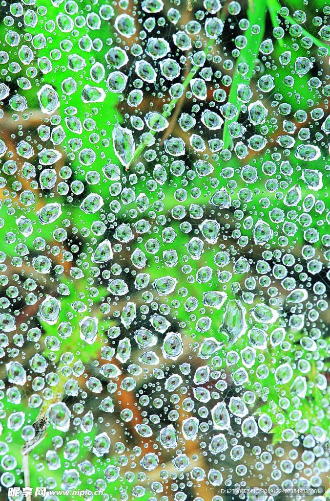 水紋背景圖片