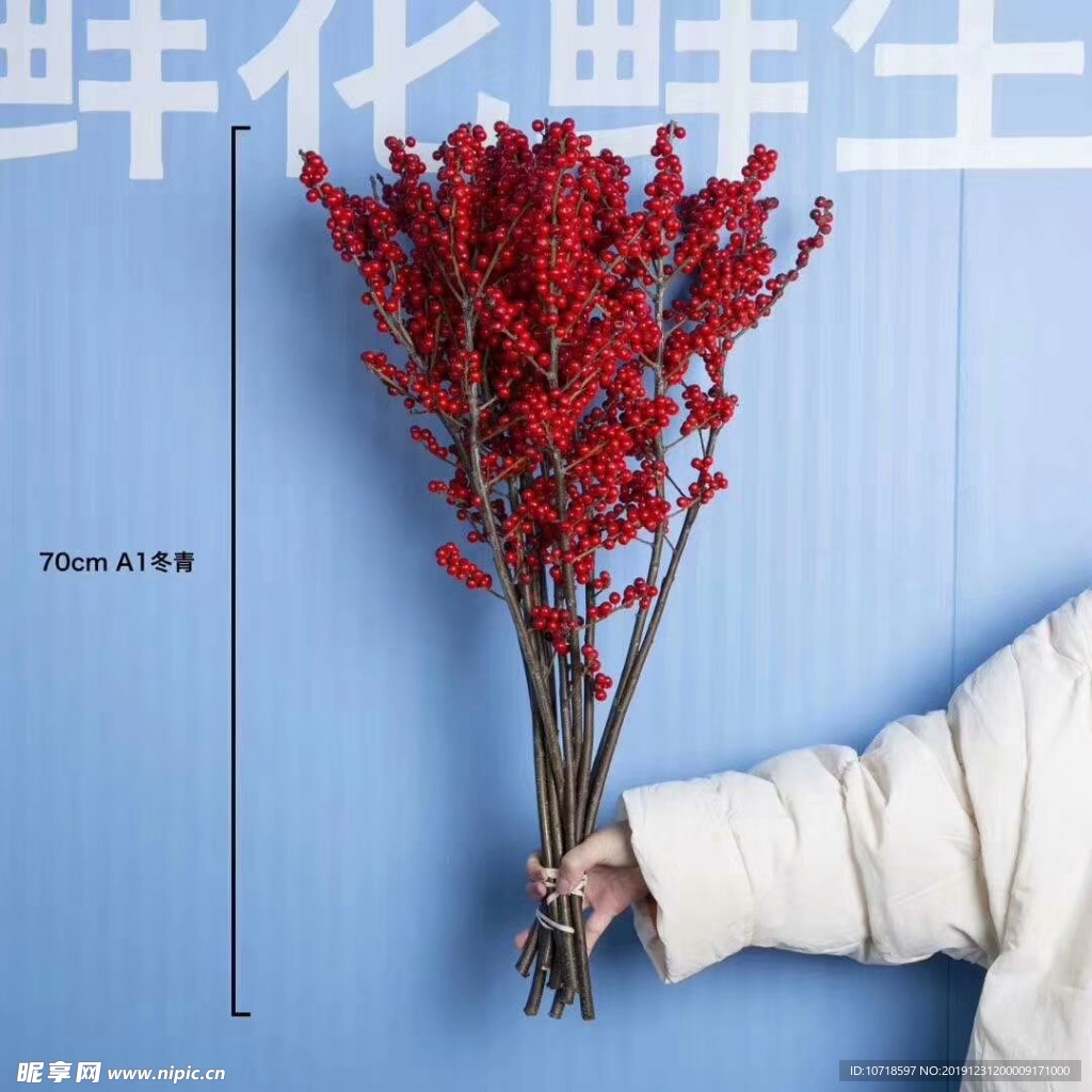 花朵花卉
