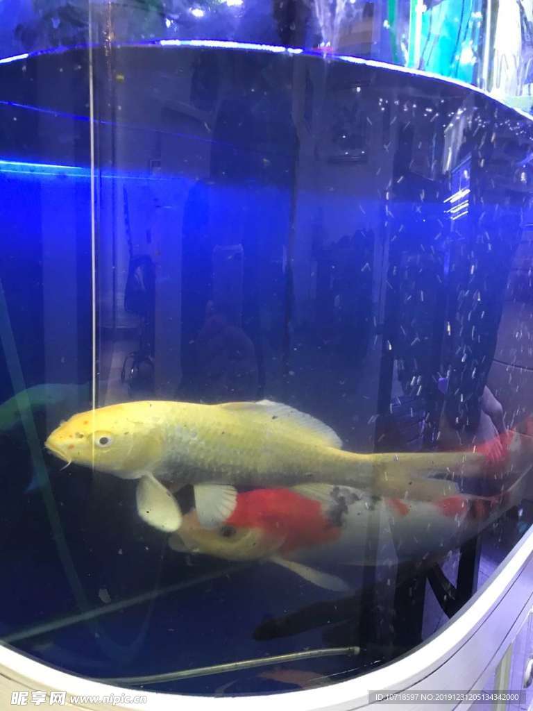 海底動物