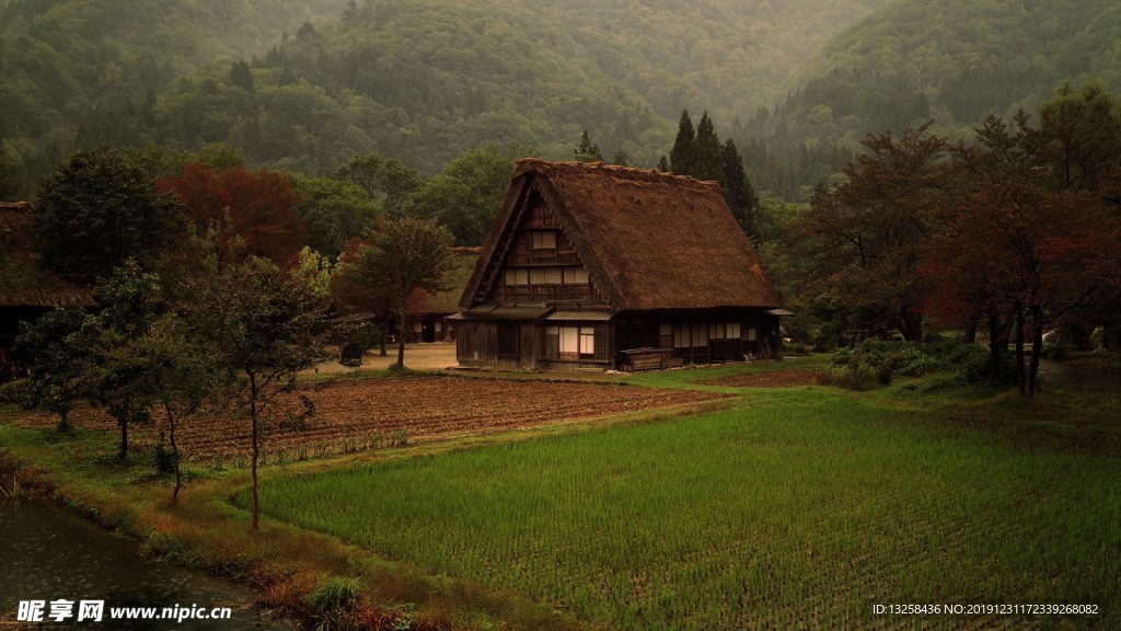 群山樹木風景森林背景