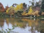 河岸倒影 池塘河水 秋季 旅游