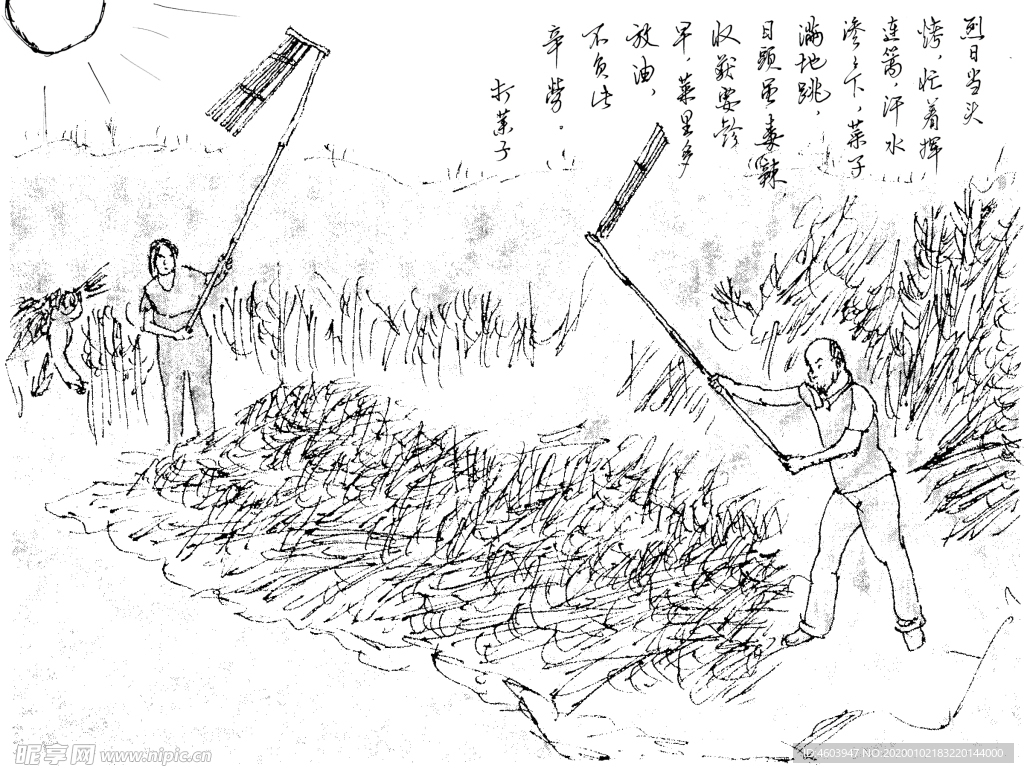 打菜子