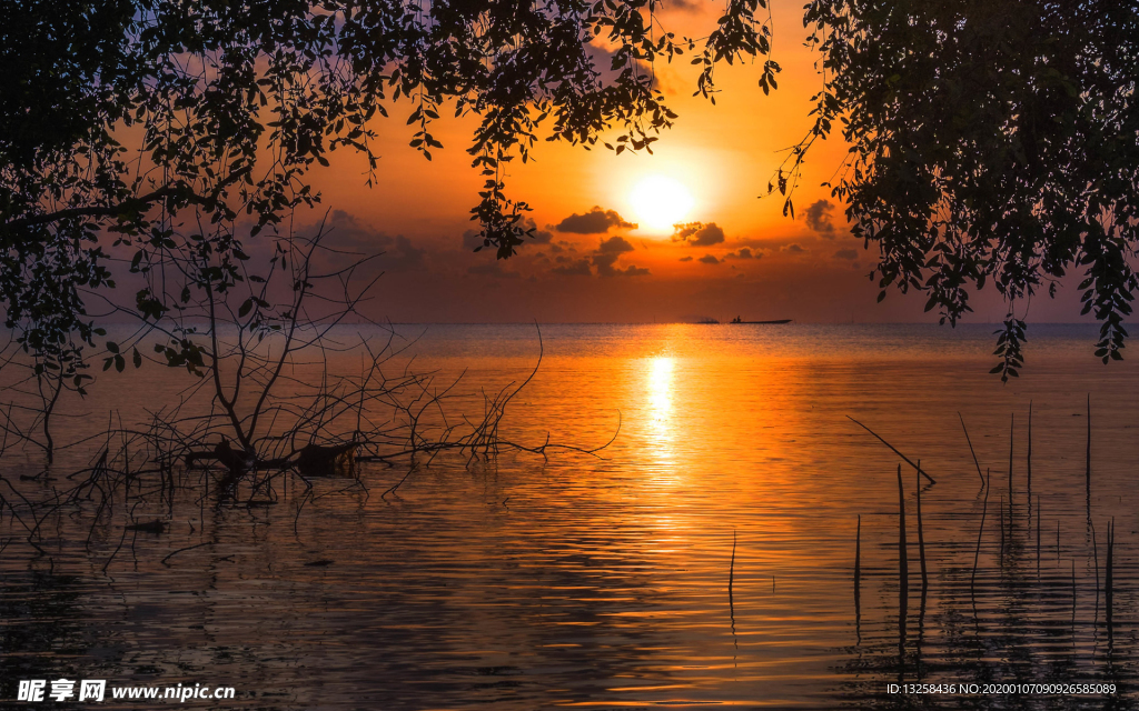 湖泊夕陽樹木風(fēng)景晚霞
