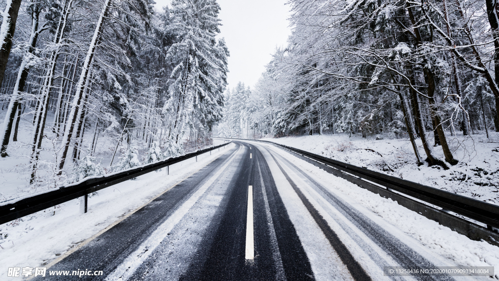 大雪森林公路風景