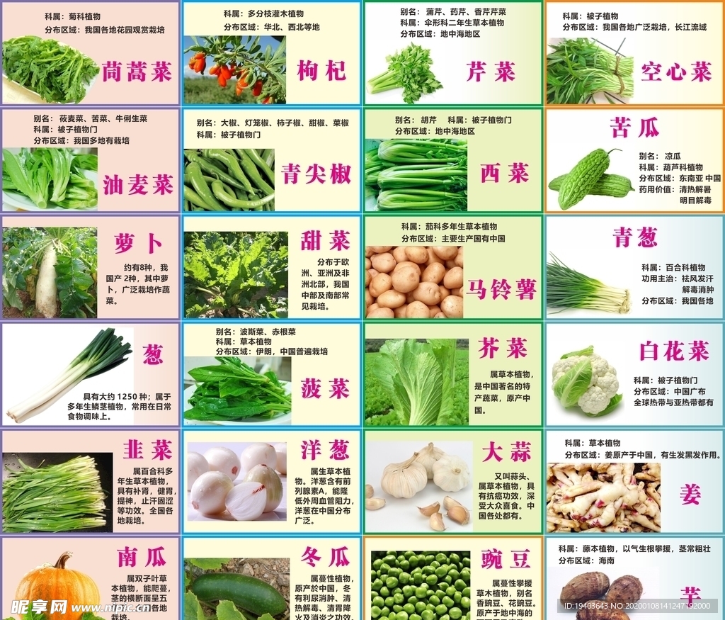 蔬菜介绍