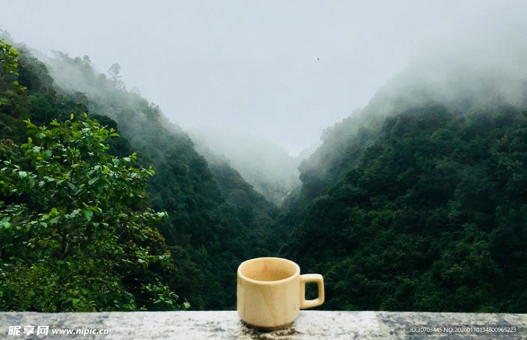 木杯子