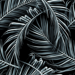 分色叶子 热带植物 植物 黑白