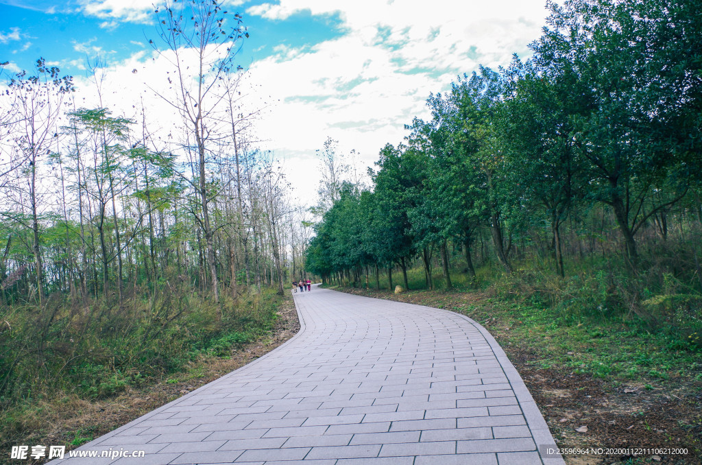 藍天下的道路