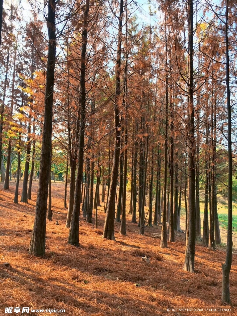 自然风景