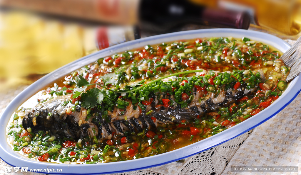 鮮椒魚
