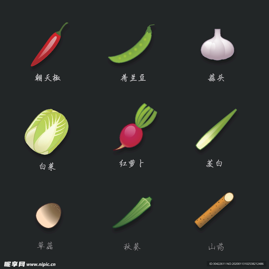 食物矢量图 蔬菜集合 辣椒等