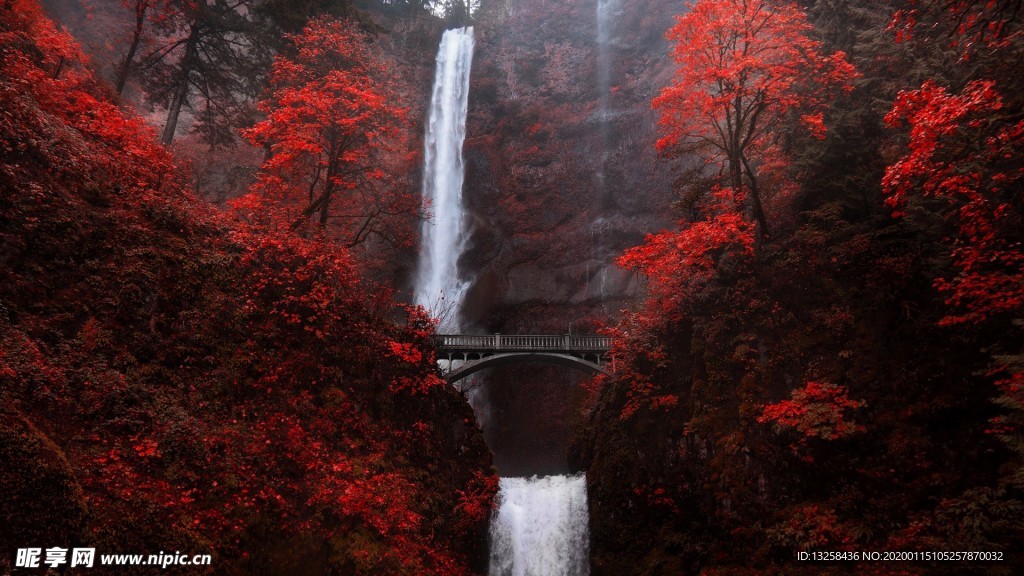森林瀑布木橋風景紅葉
