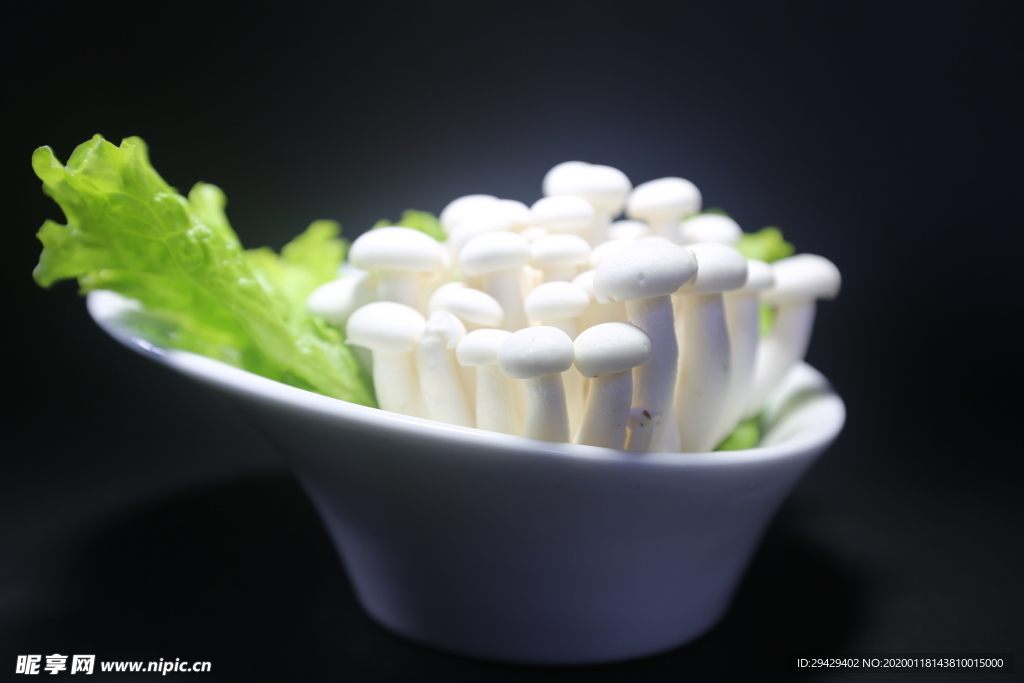 白玉菇