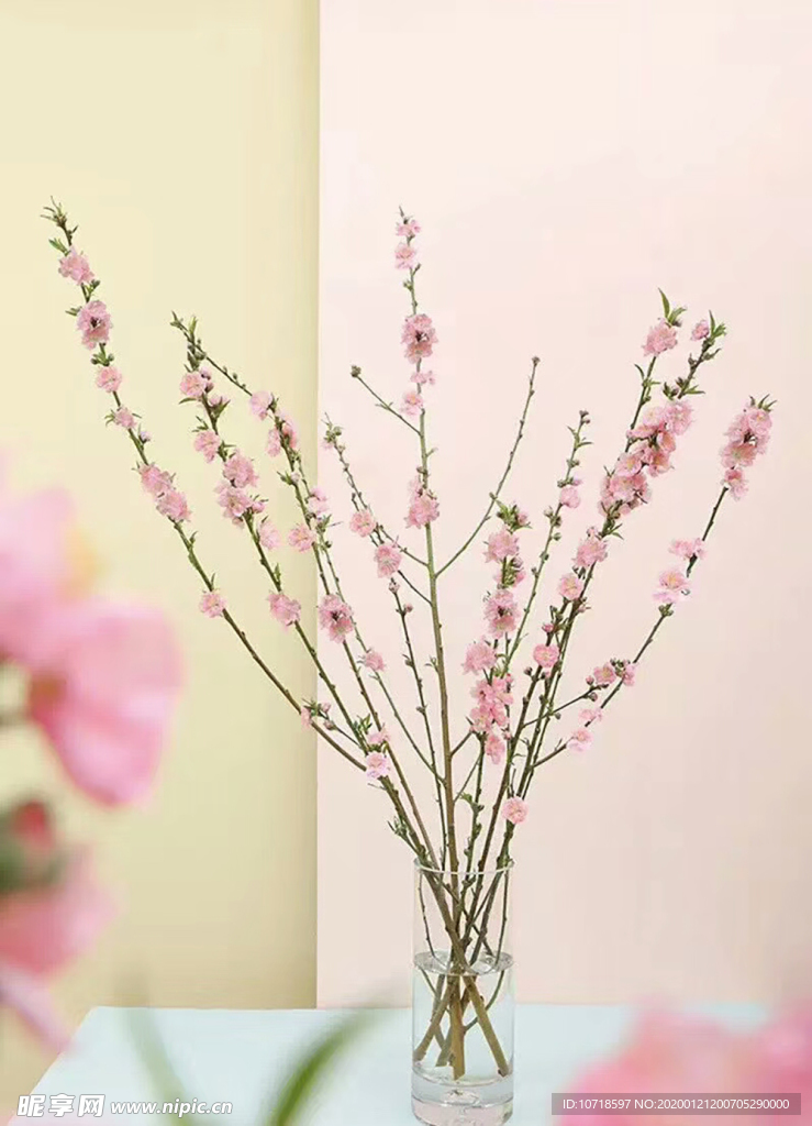 花卉花朵