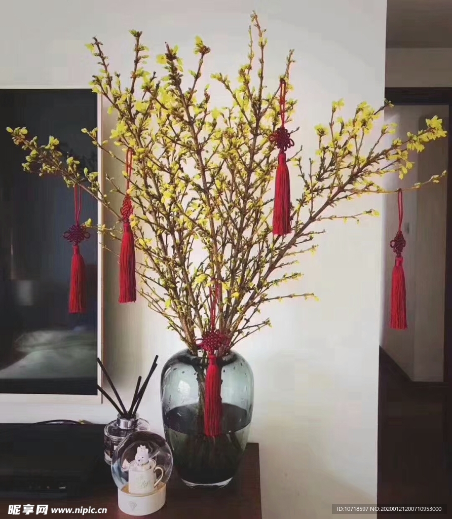 花卉花朵