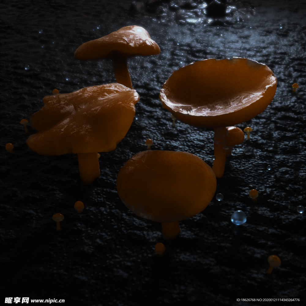 蘑菇