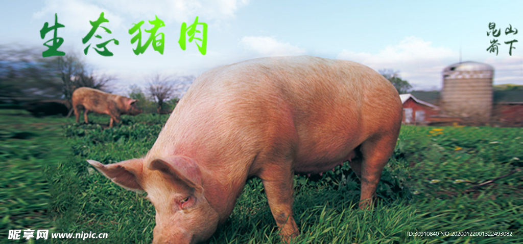 生鲜猪肉详情创意海报设计图片