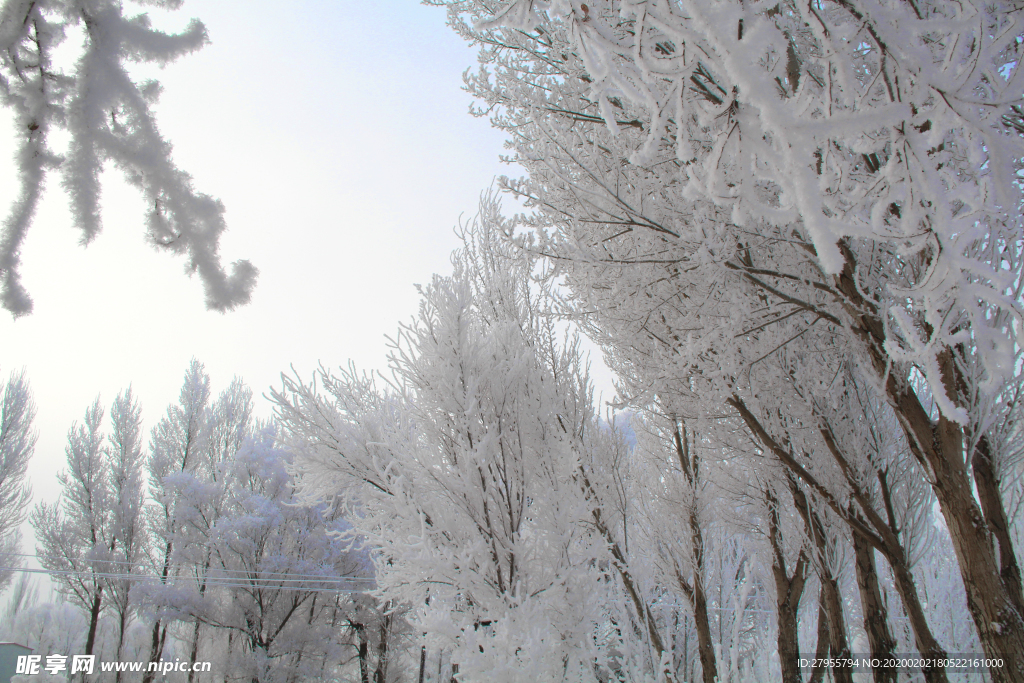 雪景