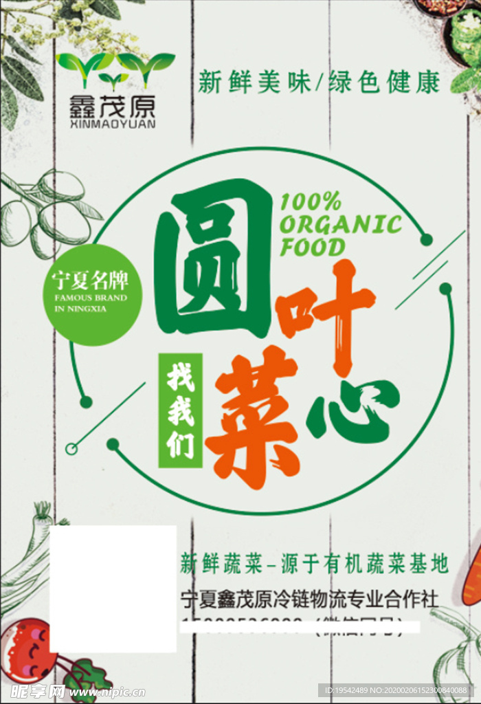 圓葉菜心