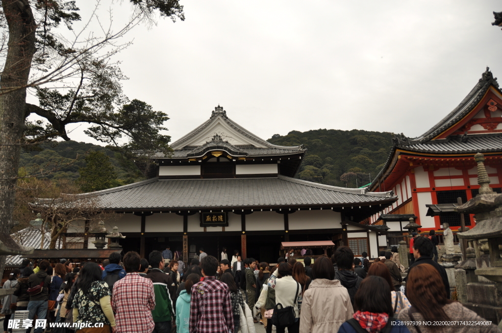 2019 京都 旅游 摄影 素