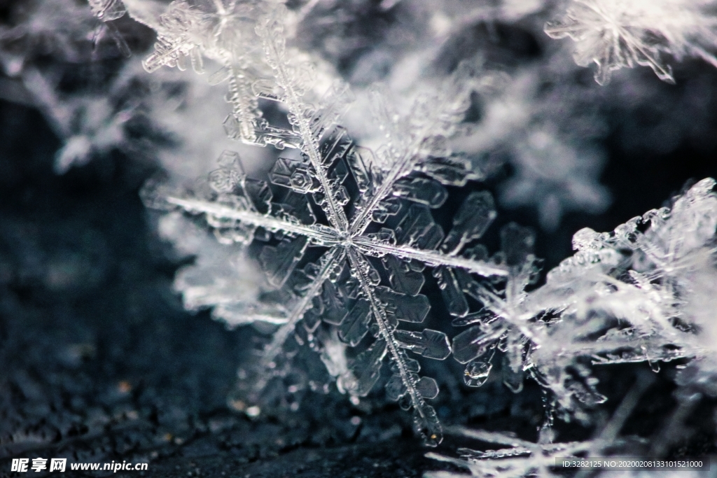 微距摄影之雪花