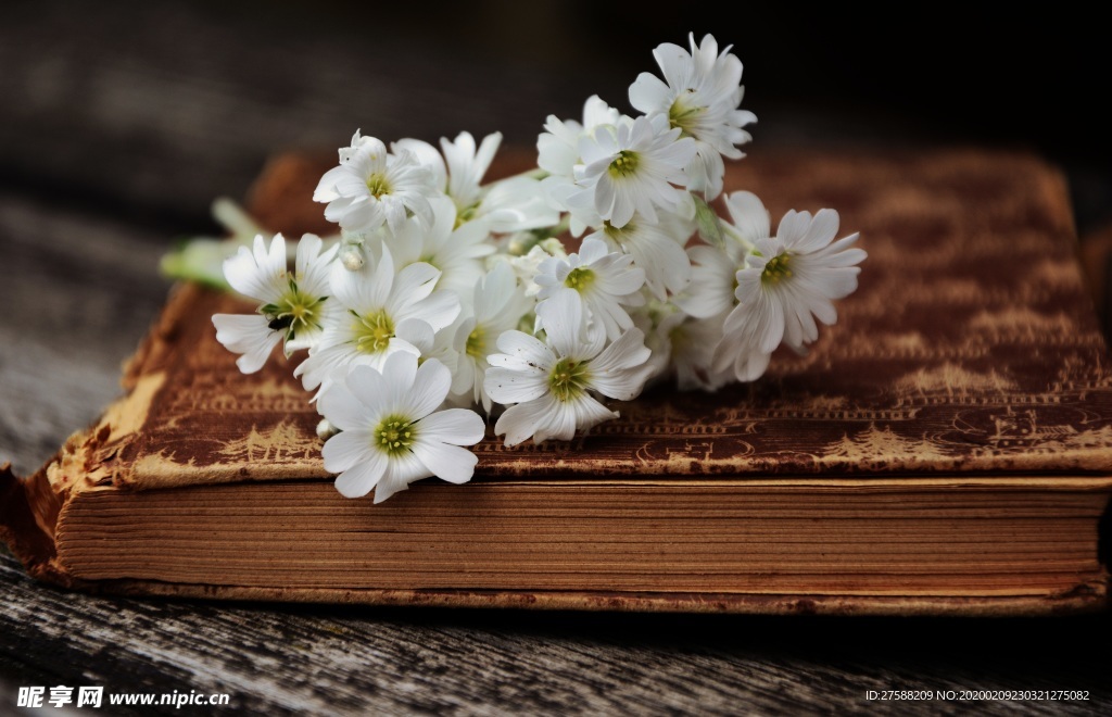 一束白花